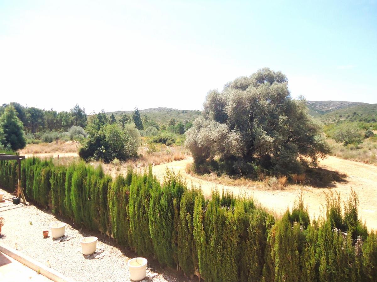Los Olivos Residencial Lek Peniscola Bagian luar foto